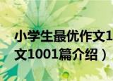 小学生最优作文1001篇（关于小学生最优作文1001篇介绍）