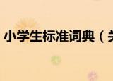 小学生标准词典（关于小学生标准词典介绍）