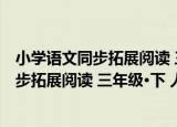 小学语文同步拓展阅读 三年级·下 人教版（关于小学语文同步拓展阅读 三年级·下 人教版介绍）