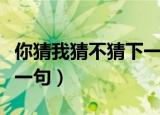 你猜我猜不猜下一句怎么说（你猜我猜不猜下一句）