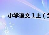 小学语文 1上（关于小学语文 1上介绍）