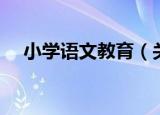小学语文教育（关于小学语文教育介绍）