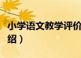 小学语文教学评价（关于小学语文教学评价介绍）