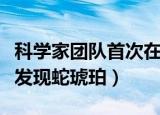 科学家团队首次在琥珀中发现蛇类标本（首次发现蛇琥珀）