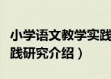 小学语文教学实践研究（关于小学语文教学实践研究介绍）