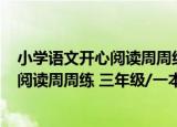 小学语文开心阅读周周练 三年级/一本（关于小学语文开心阅读周周练 三年级/一本介绍）
