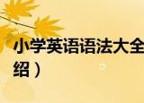 小学英语语法大全（关于小学英语语法大全介绍）