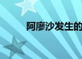 阿廖沙发生的事情（阿廖沙事件）