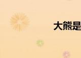 大熊是什么样的熊？
