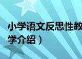 小学语文反思性教学（关于小学语文反思性教学介绍）