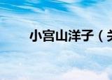 小宫山洋子（关于小宫山洋子介绍）
