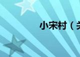 小宋村（关于小宋村介绍）