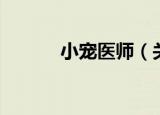 小宠医师（关于小宠医师介绍）