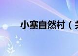 小寨自然村（关于小寨自然村介绍）