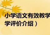 小学语文有效教学评价（关于小学语文有效教学评价介绍）