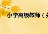 小学高级教师（关于小学高级教师介绍）