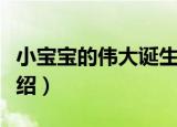 小宝宝的伟大诞生（关于小宝宝的伟大诞生介绍）