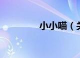 小小喵（关于小小喵介绍）