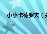 小小卡德罗夫（关于小小卡德罗夫介绍）