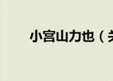 小宫山力也（关于小宫山力也介绍）