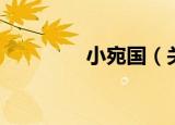 小宛国（关于小宛国介绍）