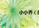 小小乔（关于小小乔介绍）