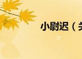 小尉迟（关于小尉迟介绍）