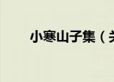 小寒山子集（关于小寒山子集介绍）