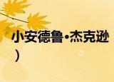 小安德鲁·杰克逊（关于小安德鲁·杰克逊介绍）