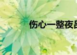 伤心一整夜吕雯（伤心一整夜）