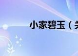 小家碧玉（关于小家碧玉介绍）