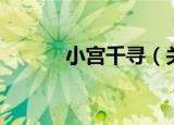 小宫千寻（关于小宫千寻介绍）