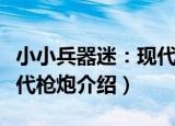 小小兵器迷：现代枪炮（关于小小兵器迷：现代枪炮介绍）