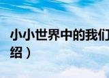 小小世界中的我们（关于小小世界中的我们介绍）