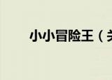 小小冒险王（关于小小冒险王介绍）