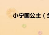 小宁国公主（关于小宁国公主介绍）