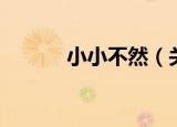小小不然（关于小小不然介绍）