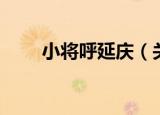 小将呼延庆（关于小将呼延庆介绍）