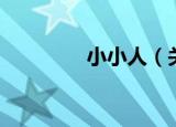 小小人（关于小小人介绍）