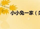小小兔一家（关于小小兔一家介绍）