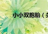 小小双胞胎（关于小小双胞胎介绍）