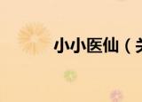 小小医仙（关于小小医仙介绍）