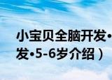 小宝贝全脑开发·5-6岁（关于小宝贝全脑开发·5-6岁介绍）