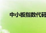 中小板指数代码是多少（中小板指数）