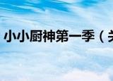 小小厨神第一季（关于小小厨神第一季介绍）