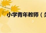 小学青年教师（关于小学青年教师介绍）