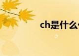 ch是什么化学名称（chs）