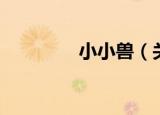 小小兽（关于小小兽介绍）