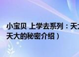 小宝贝 上学去系列：天大的秘密（关于小宝贝 上学去系列：天大的秘密介绍）