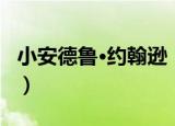 小安德鲁·约翰逊（关于小安德鲁·约翰逊介绍）